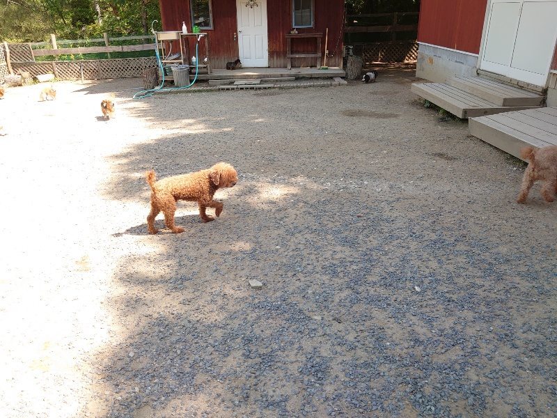 f:id:roukenhome-ann:20200530185612j:plain f:id:roukenhome-ann:20200530185612j:plain