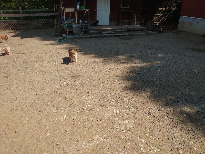 f:id:roukenhome-ann:20200530185649j:plain f:id:roukenhome-ann:20200530185649j:plain