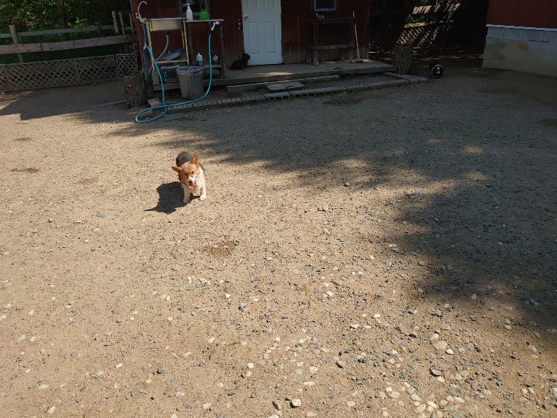 f:id:roukenhome-ann:20200530185655j:plain f:id:roukenhome-ann:20200530185655j:plain