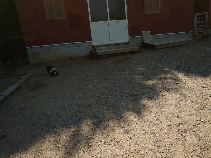 f:id:roukenhome-ann:20200530185835j:plain f:id:roukenhome-ann:20200530185835j:plain