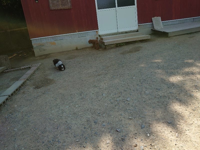 f:id:roukenhome-ann:20200530185840j:plain f:id:roukenhome-ann:20200530185840j:plain
