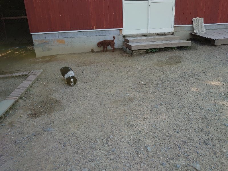 f:id:roukenhome-ann:20200530185845j:plain f:id:roukenhome-ann:20200530185845j:plain