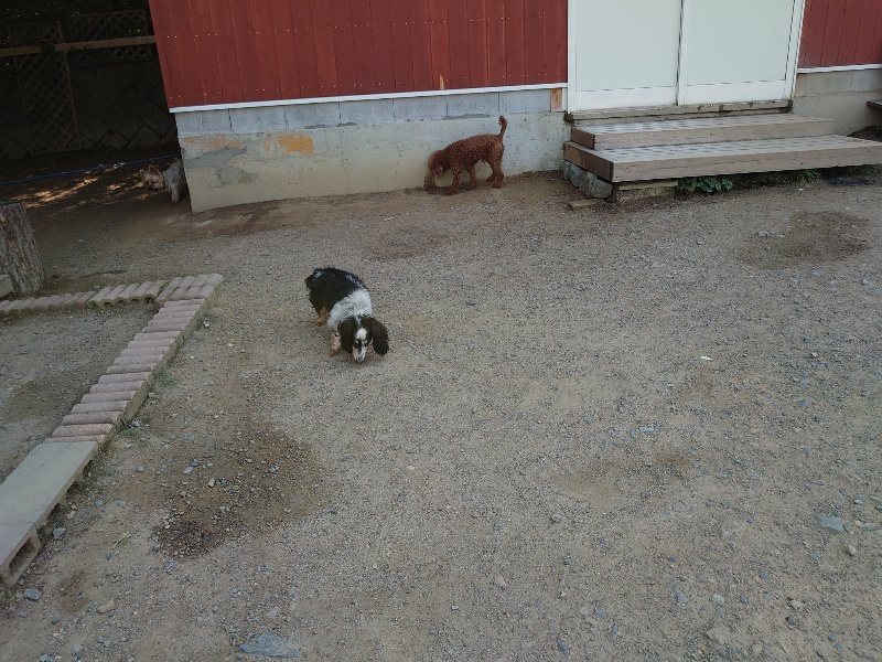 f:id:roukenhome-ann:20200530185850j:plain f:id:roukenhome-ann:20200530185850j:plain