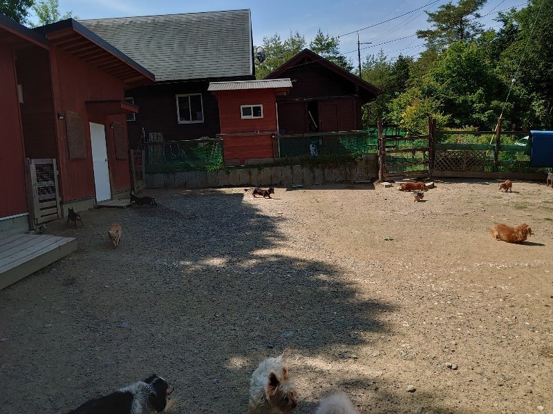 f:id:roukenhome-ann:20200530190312j:plain f:id:roukenhome-ann:20200530190312j:plain