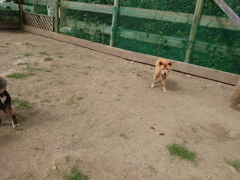 f:id:roukenhome-ann:20200601135548j:plain f:id:roukenhome-ann:20200601135548j:plain