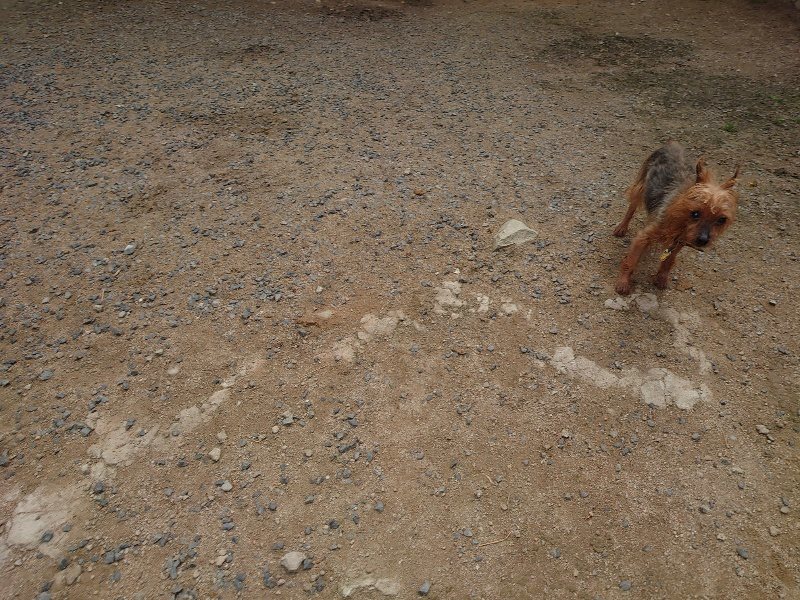 f:id:roukenhome-ann:20200601135744j:plain f:id:roukenhome-ann:20200601135744j:plain