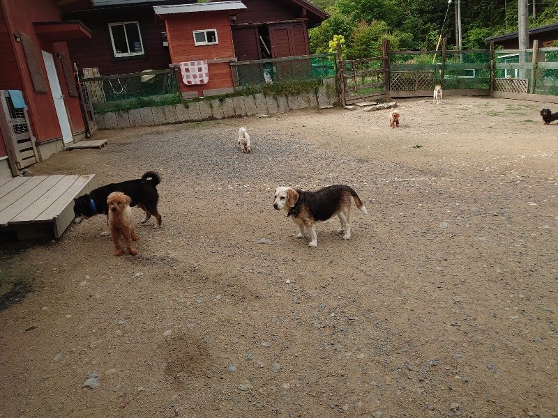 f:id:roukenhome-ann:20200601140057j:plain f:id:roukenhome-ann:20200601140057j:plain