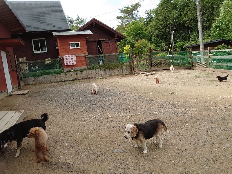 f:id:roukenhome-ann:20200601140102j:plain f:id:roukenhome-ann:20200601140102j:plain