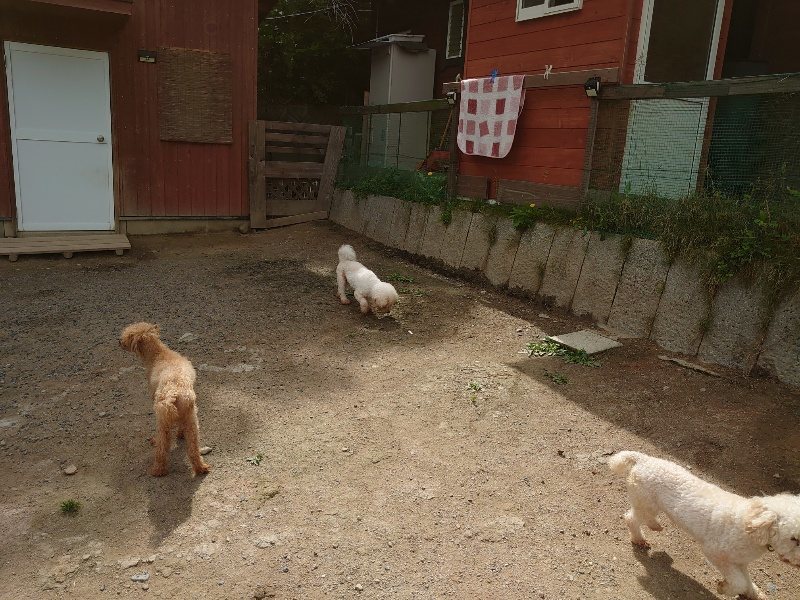 f:id:roukenhome-ann:20200601140254j:plain f:id:roukenhome-ann:20200601140254j:plain