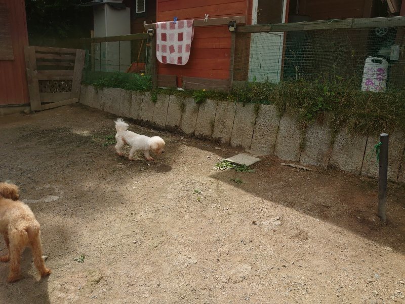 f:id:roukenhome-ann:20200601140259j:plain f:id:roukenhome-ann:20200601140259j:plain