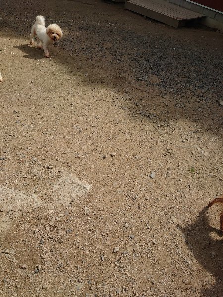 f:id:roukenhome-ann:20200601140443j:plain f:id:roukenhome-ann:20200601140443j:plain