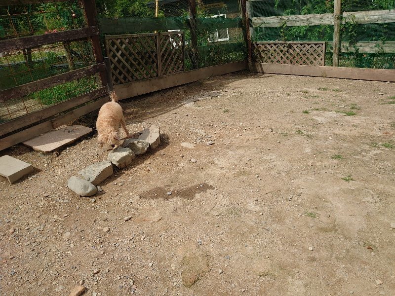 f:id:roukenhome-ann:20200601140632j:plain f:id:roukenhome-ann:20200601140632j:plain