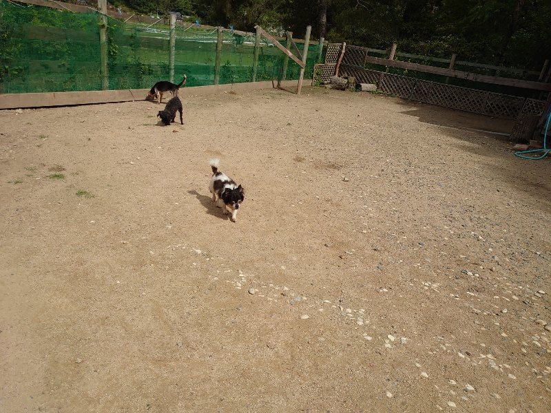 f:id:roukenhome-ann:20200601141012j:plain f:id:roukenhome-ann:20200601141012j:plain