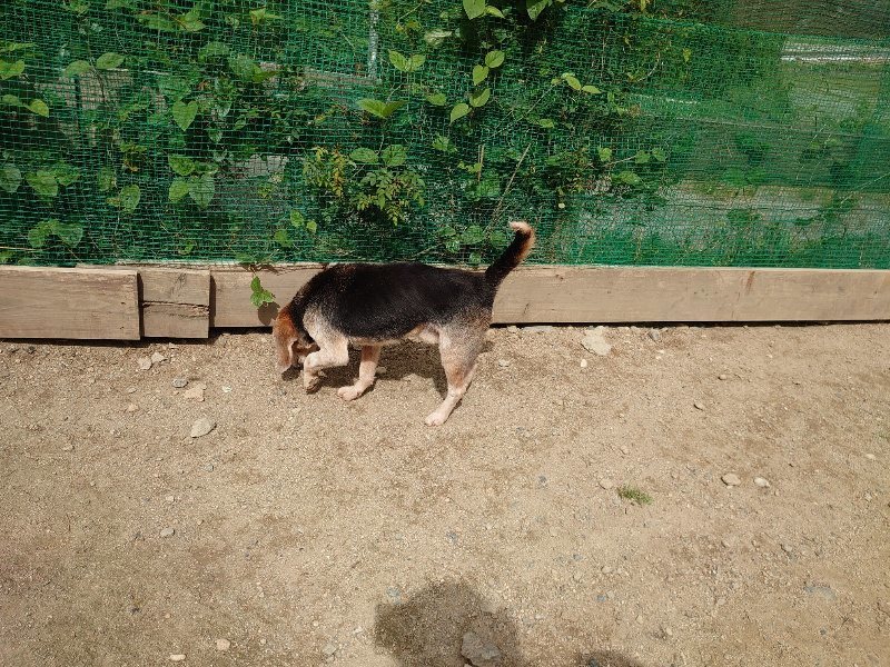 f:id:roukenhome-ann:20200601141213j:plain f:id:roukenhome-ann:20200601141213j:plain