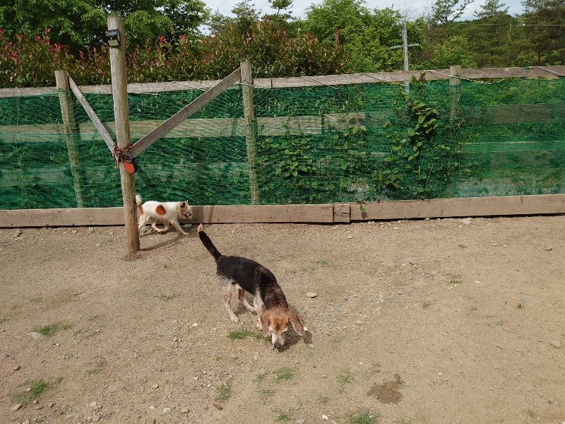 f:id:roukenhome-ann:20200601141318j:plain f:id:roukenhome-ann:20200601141318j:plain