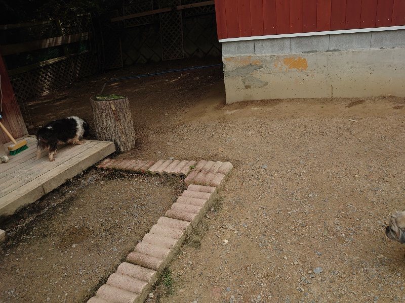 f:id:roukenhome-ann:20200601141430j:plain f:id:roukenhome-ann:20200601141430j:plain