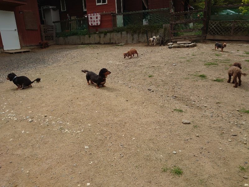 f:id:roukenhome-ann:20200601142711j:plain f:id:roukenhome-ann:20200601142711j:plain