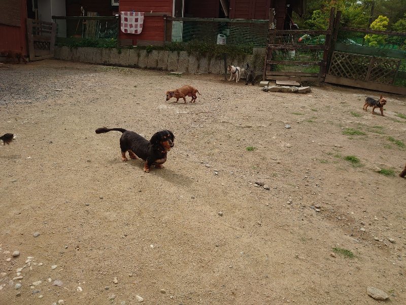 f:id:roukenhome-ann:20200601142722j:plain f:id:roukenhome-ann:20200601142722j:plain