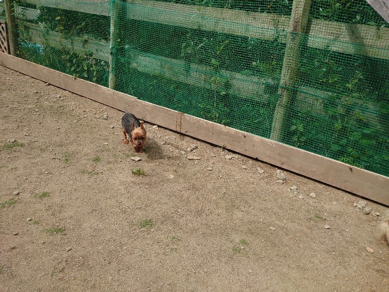 f:id:roukenhome-ann:20200601142841j:plain f:id:roukenhome-ann:20200601142841j:plain