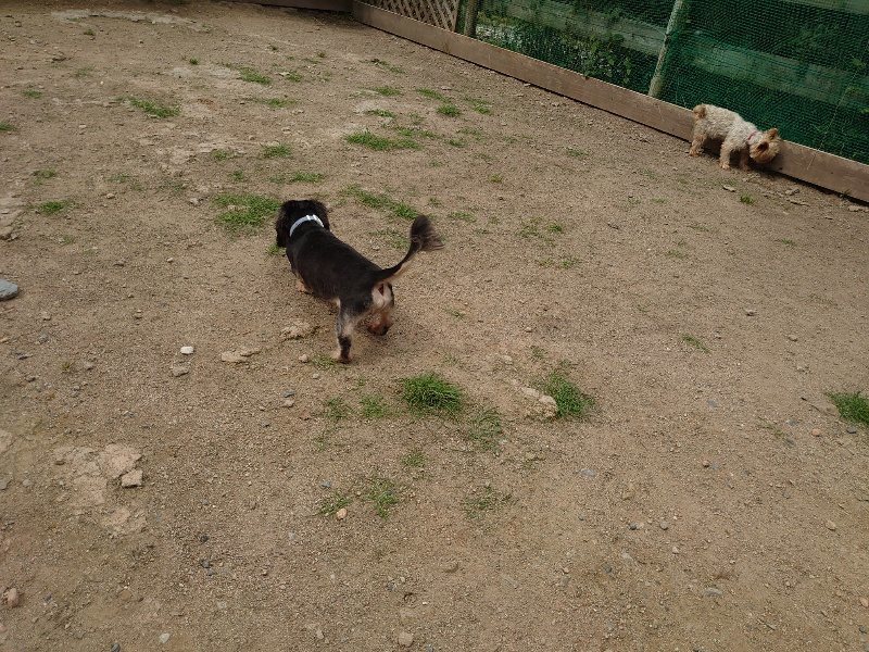 f:id:roukenhome-ann:20200601143403j:plain f:id:roukenhome-ann:20200601143403j:plain