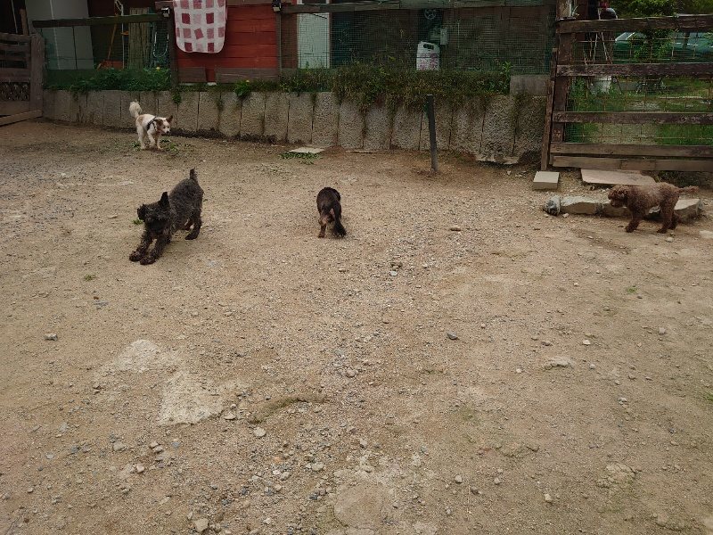 f:id:roukenhome-ann:20200601143415j:plain f:id:roukenhome-ann:20200601143415j:plain