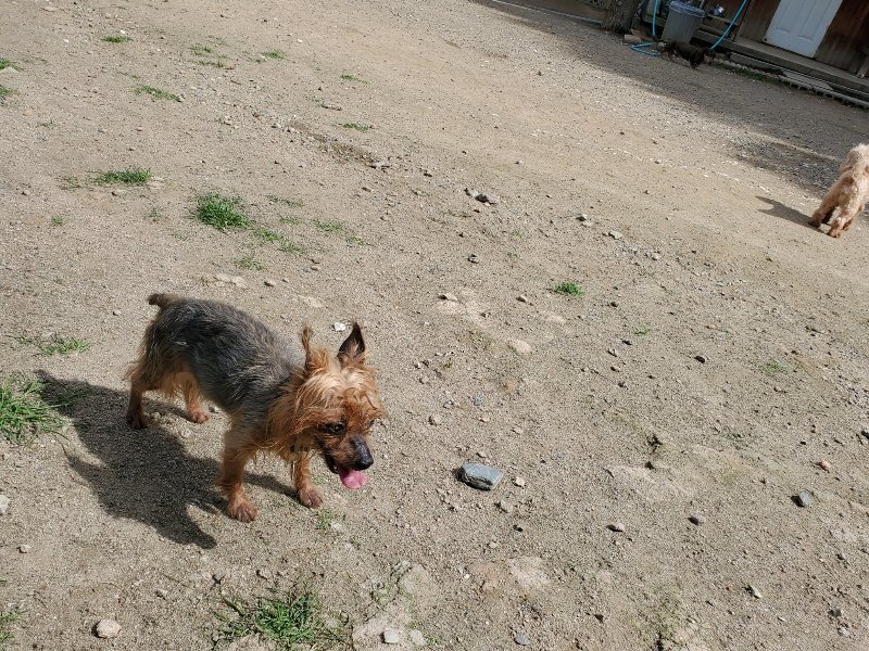 f：id：roukenhome-ann：20200602134151j：plain