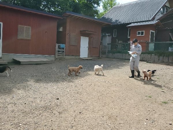 f：id：roukenhome-ann：20200602134656j：plain