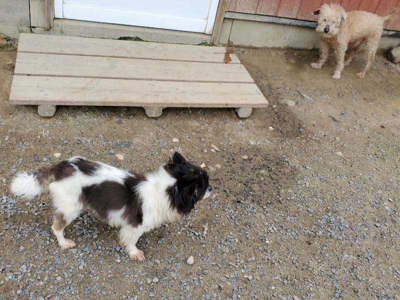 f：id：roukenhome-ann：20200602135306j：plain