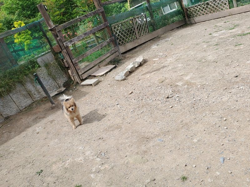 f：id：roukenhome-ann：20200602135407j：plain