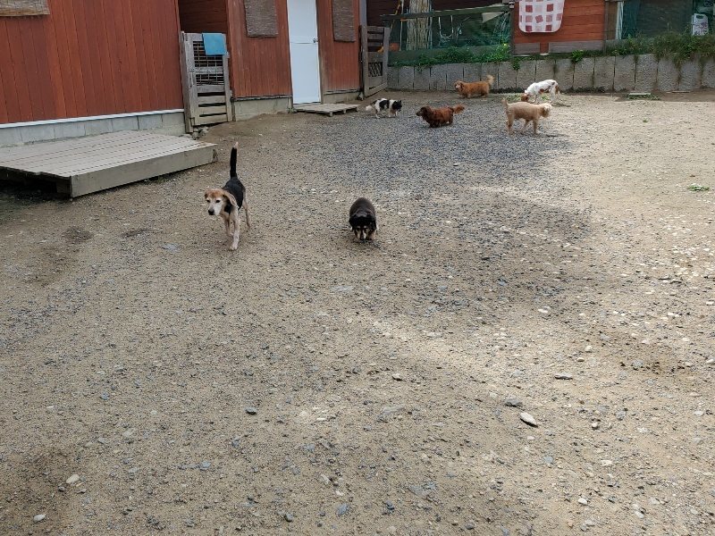 f：id：roukenhome-ann：20200602135534j：plain