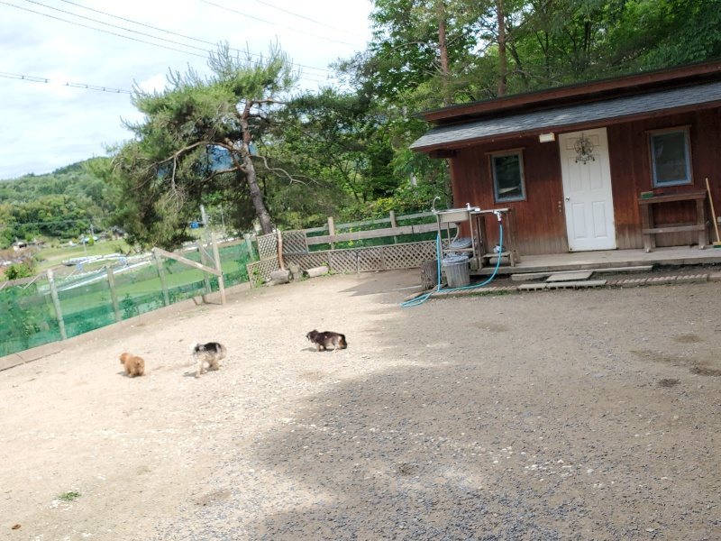 f：id：roukenhome-ann：20200602135724j：plain