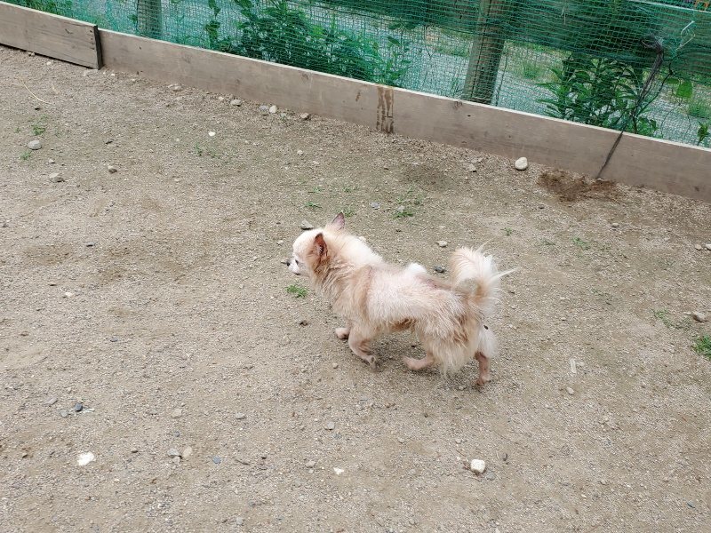 f：id：roukenhome-ann：20200602135751j：plain