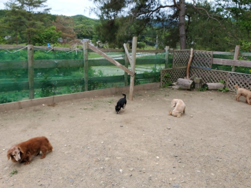 f：id：roukenhome-ann：20200602142434j：plain