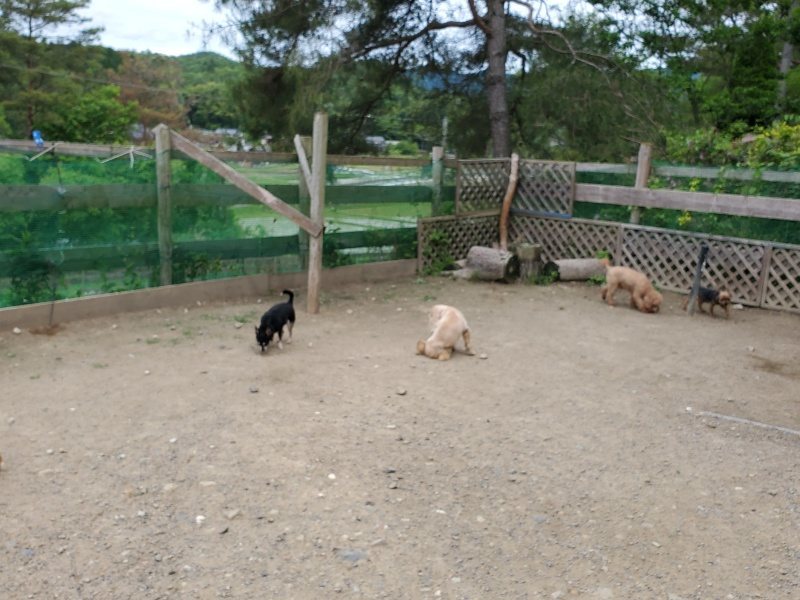 f：id：roukenhome-ann：20200602142438j：plain