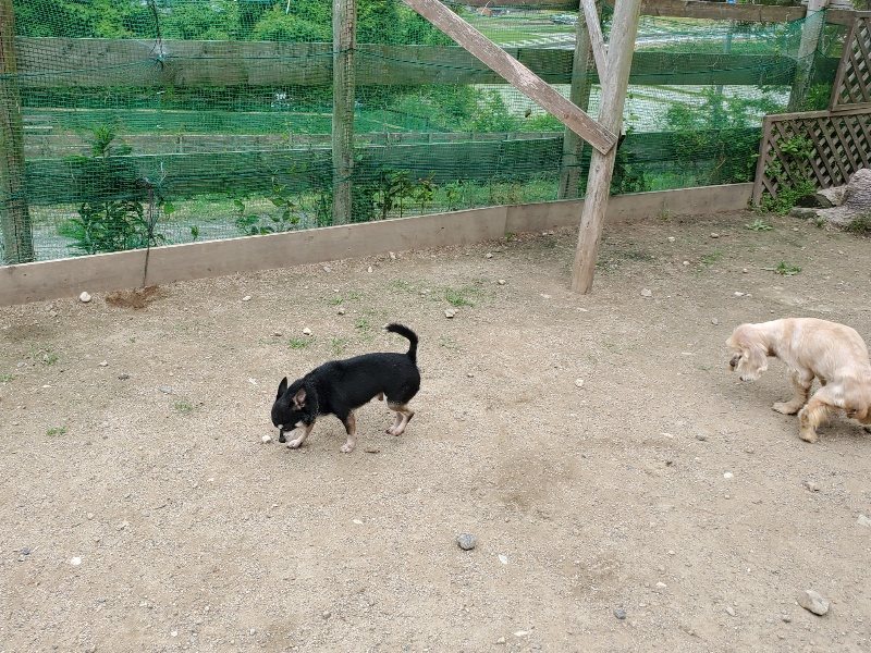 f：id：roukenhome-ann：20200602142443j：plain