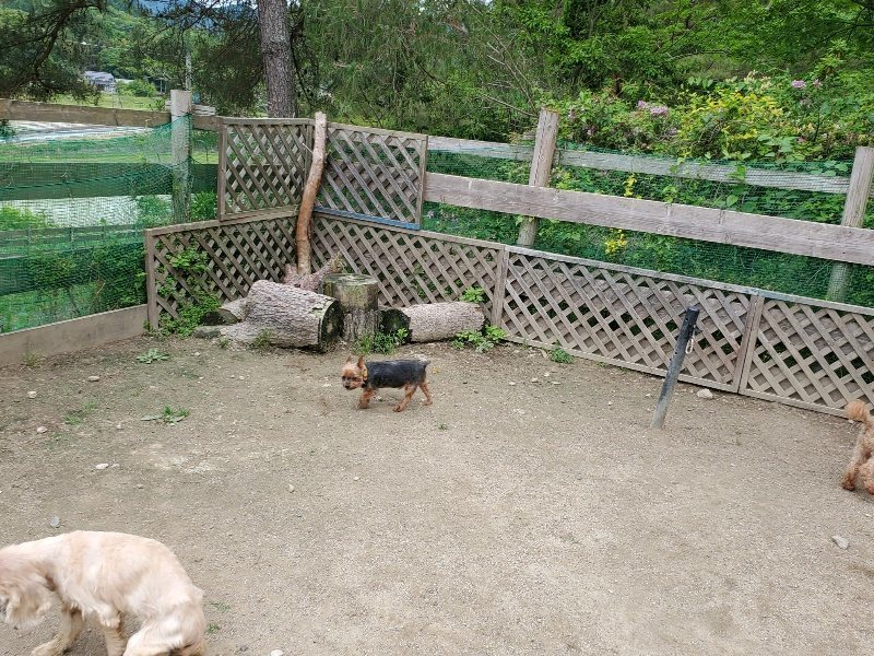 f：id：roukenhome-ann：20200602142501j：plain
