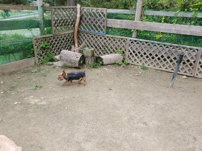 f：id：roukenhome-ann：20200602142506j：plain