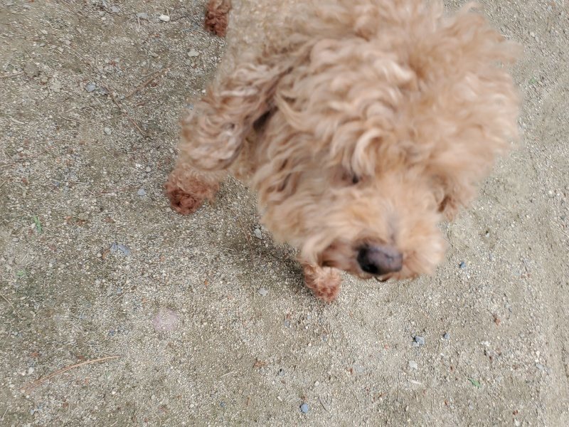 f：id：roukenhome-ann：20200602142528j：plain
