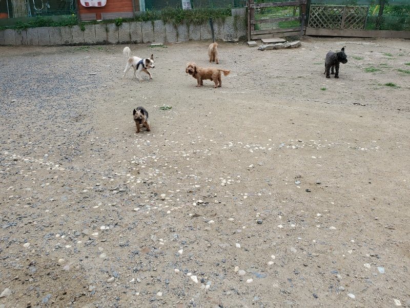 f：id：roukenhome-ann：20200602143308j：plain