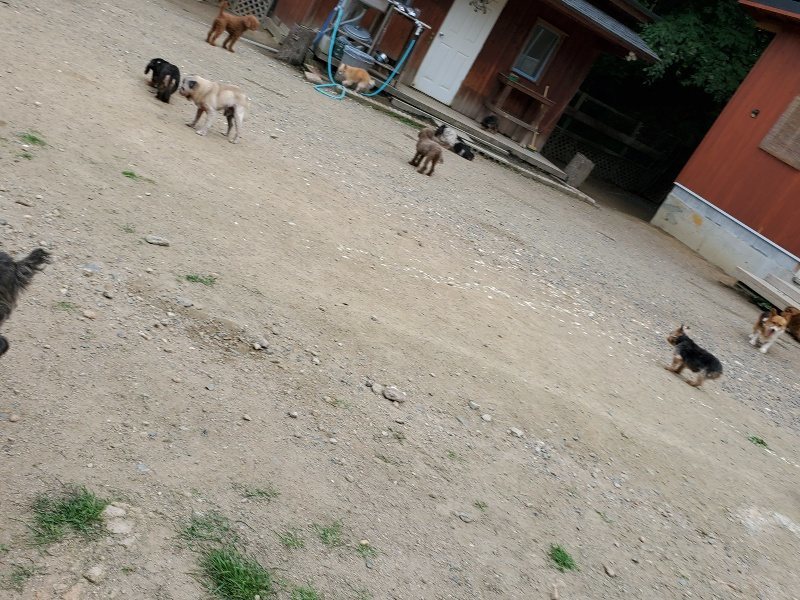 f：id：roukenhome-ann：20200602143357j：plain