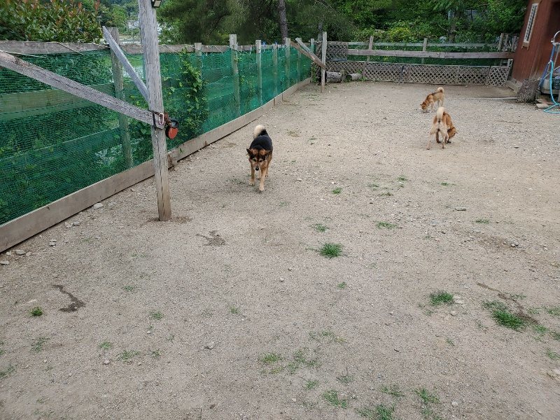 f：id：roukenhome-ann：20200602143905j：plain