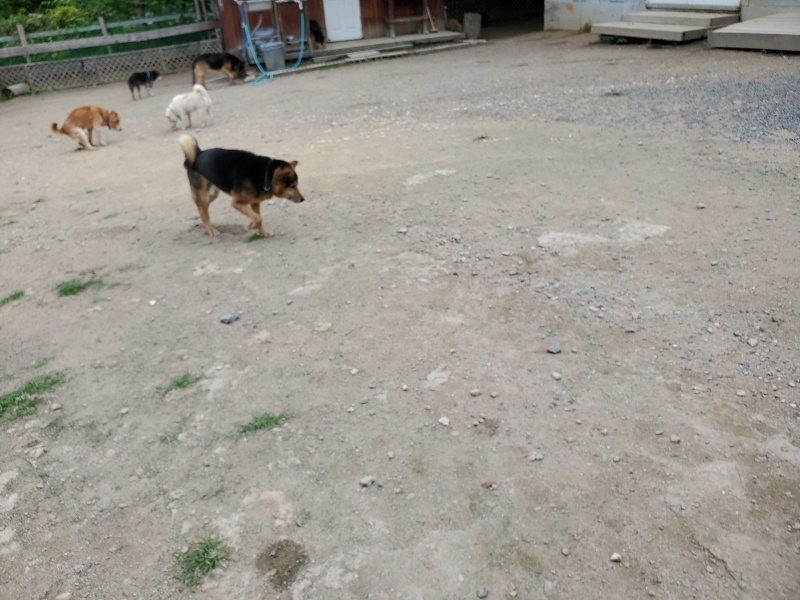 f：id：roukenhome-ann：20200602144124j：plain