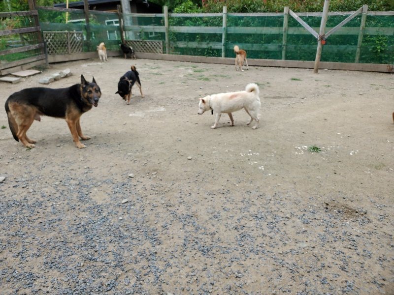 f：id：roukenhome-ann：20200602144446j：plain