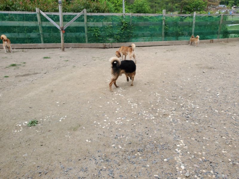 f：id：roukenhome-ann：20200602144456j：plain