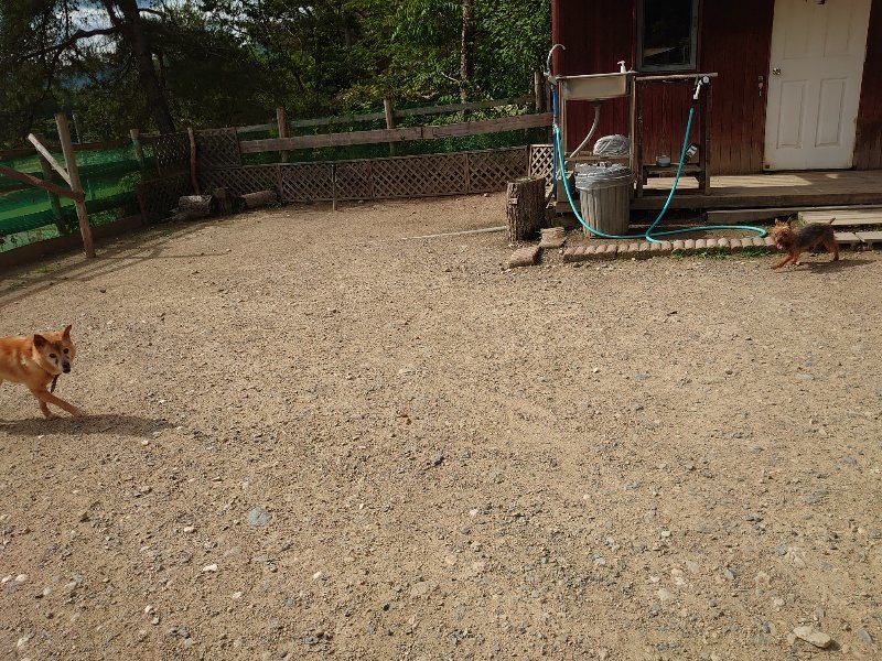 f:id:roukenhome-ann:20200603203910j:plain f:id:roukenhome-ann:20200603203910j:plain