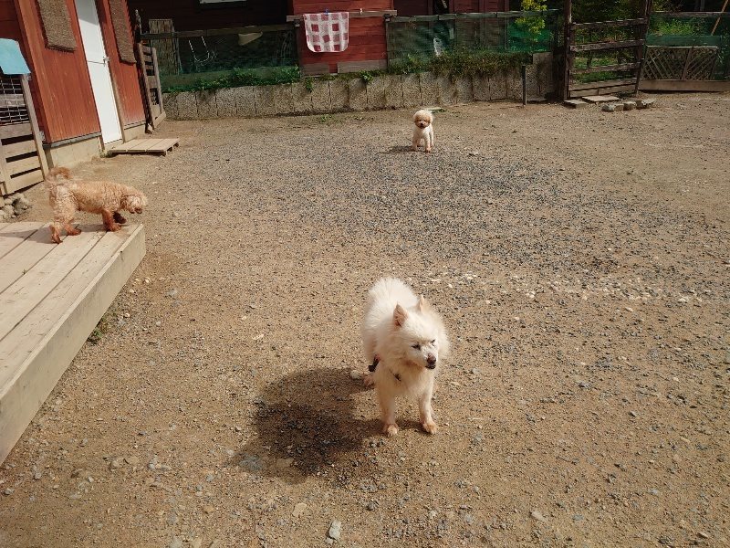 f:id:roukenhome-ann:20200603204043j:plain f:id:roukenhome-ann:20200603204043j:plain