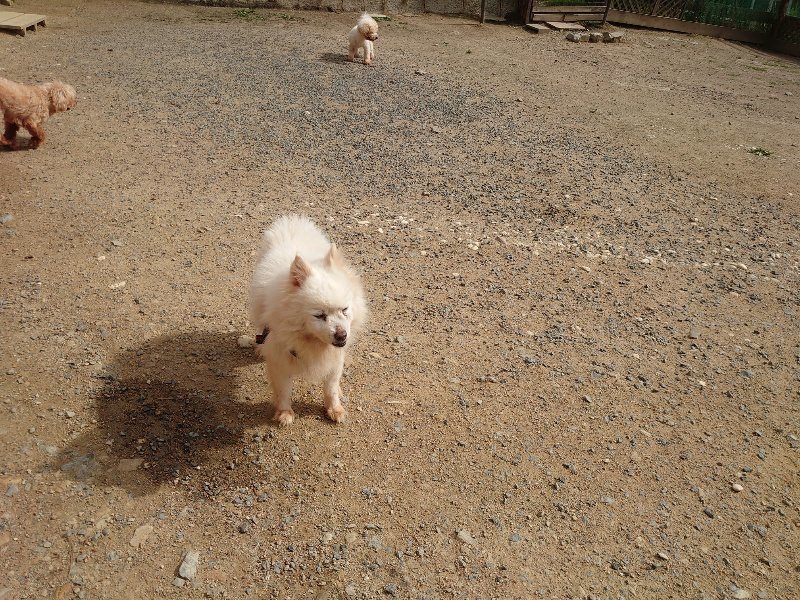 f:id:roukenhome-ann:20200603204053j:plain f:id:roukenhome-ann:20200603204053j:plain