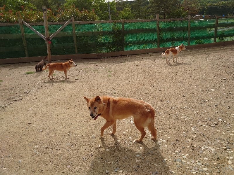 f:id:roukenhome-ann:20200603204140j:plain f:id:roukenhome-ann:20200603204140j:plain