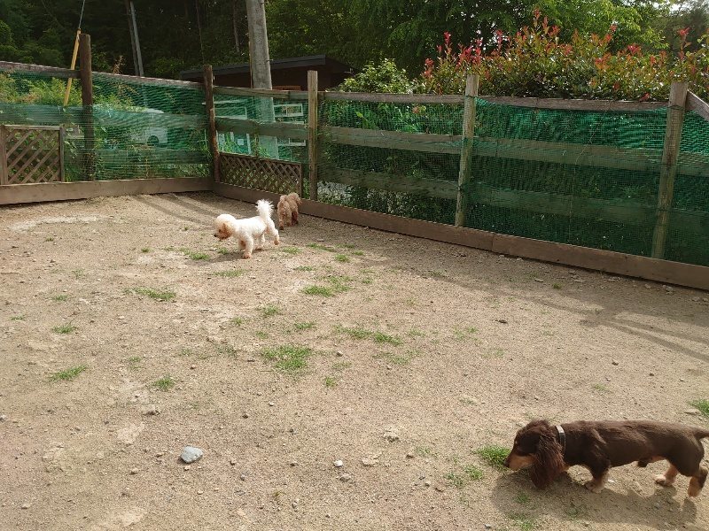f:id:roukenhome-ann:20200603204202j:plain f:id:roukenhome-ann:20200603204202j:plain