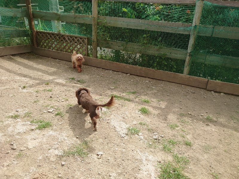 f:id:roukenhome-ann:20200603204225j:plain f:id:roukenhome-ann:20200603204225j:plain